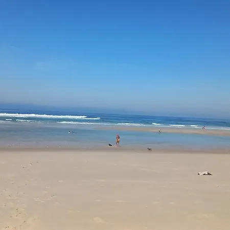 Vilaca *